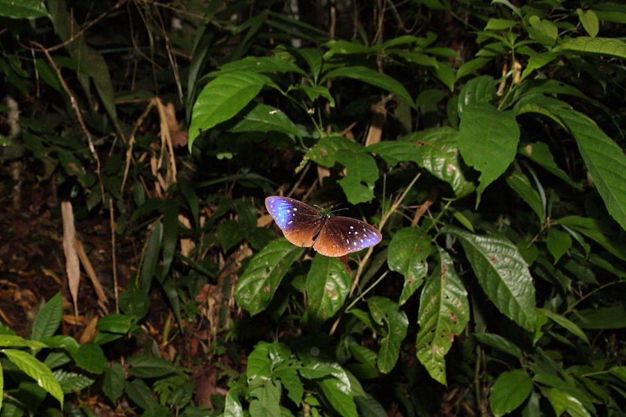a0094850_21533243.jpg