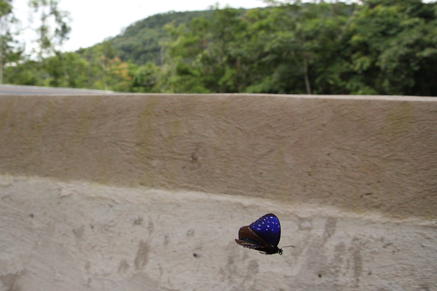 a0094850_2154231.jpg