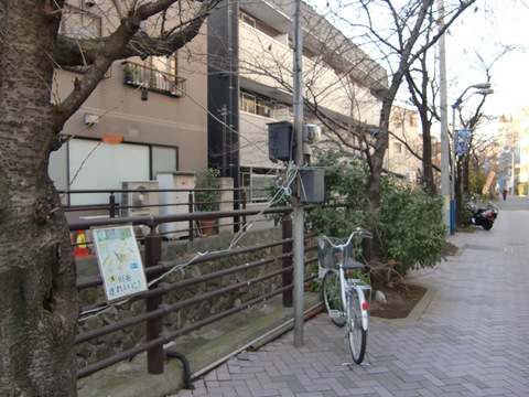c0206352_15372573.jpg
