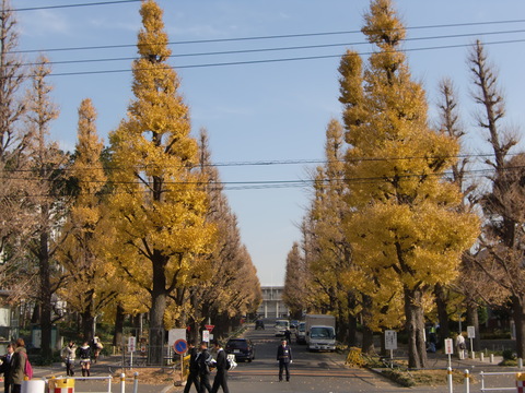 c0206352_15382214.jpg