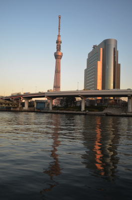 f0168873_20595941.jpg