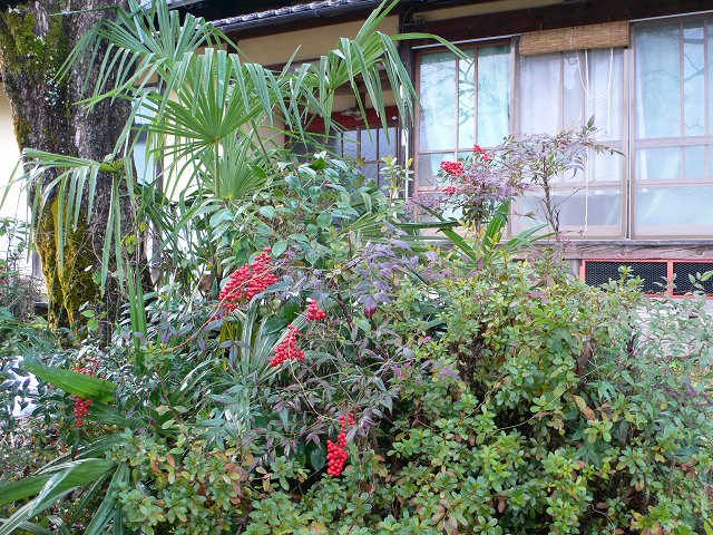b0042882_23524722.jpg