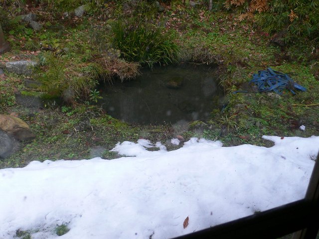 b0042882_23532220.jpg