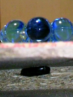 b0076384_0223155.jpg