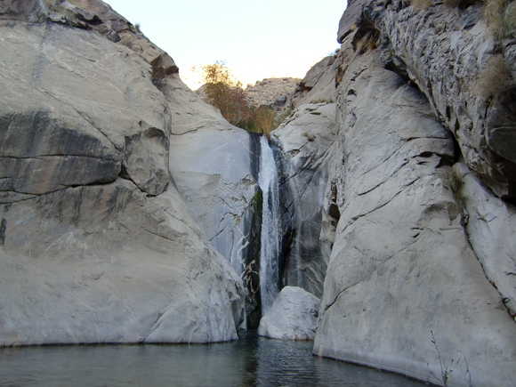 e0161692_1041291.jpg