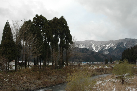 d0234293_7595846.jpg