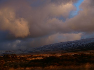 b0110999_18102460.jpg