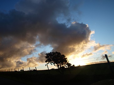 b0110999_18103787.jpg