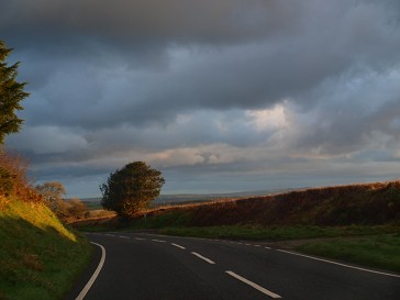 b0110999_1811128.jpg