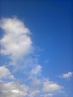 d0170799_23171370.jpg