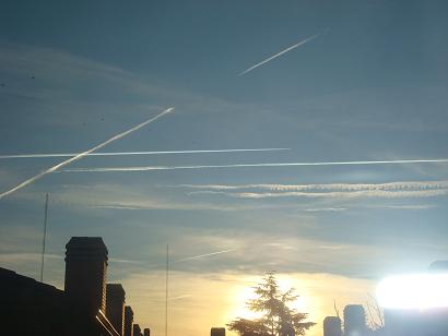 e0255908_2324049.jpg