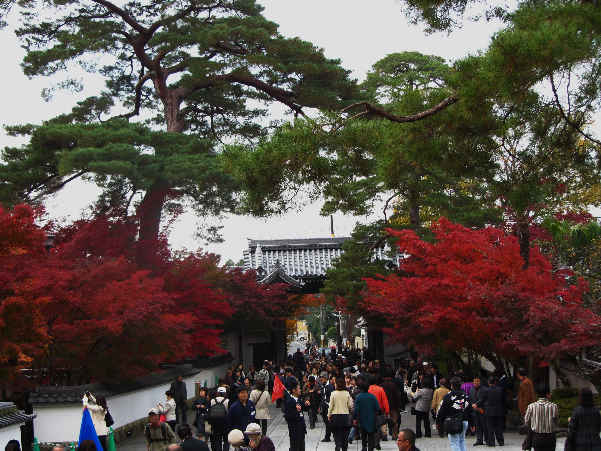 d0154609_945539.jpg