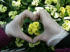 c0190010_18444791.jpg