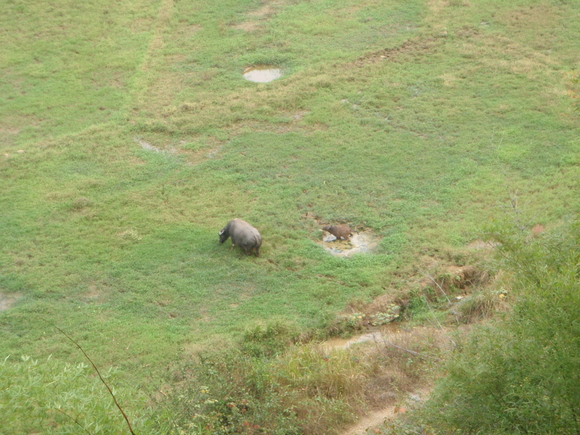 c0210618_132925.jpg