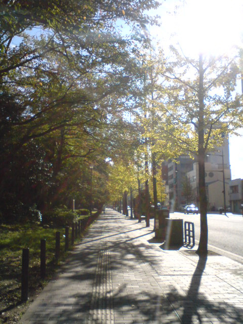 d0208318_16451827.jpg