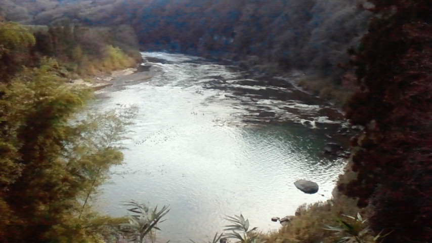f0227120_014932.jpg