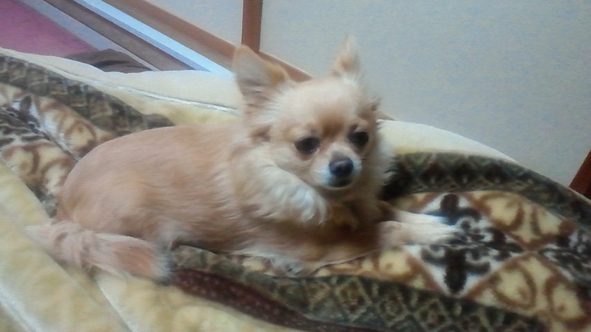 f0227120_014939.jpg