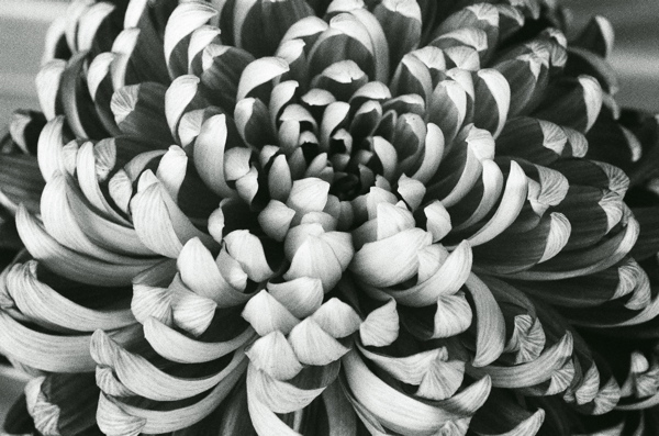 f0182924_19352759.jpg