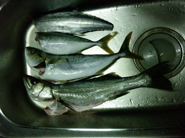e0253927_0342778.jpg