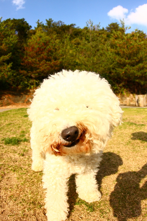 d0158028_19315478.jpg