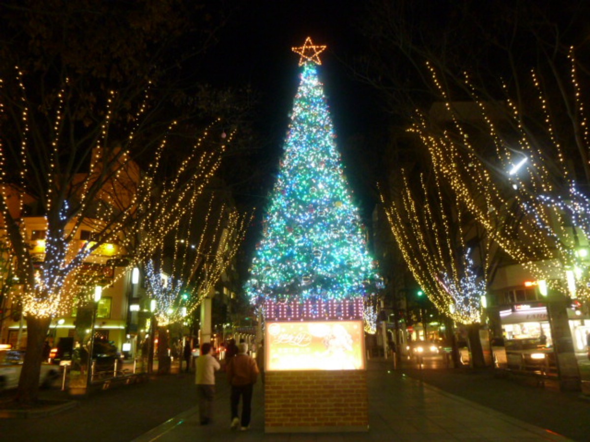 e0033229_22394252.jpg