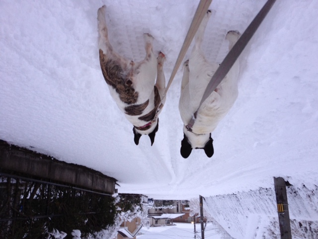 e0008833_13474174.jpg