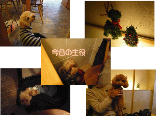 b0182846_18193126.gif