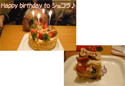 b0182846_18195417.gif