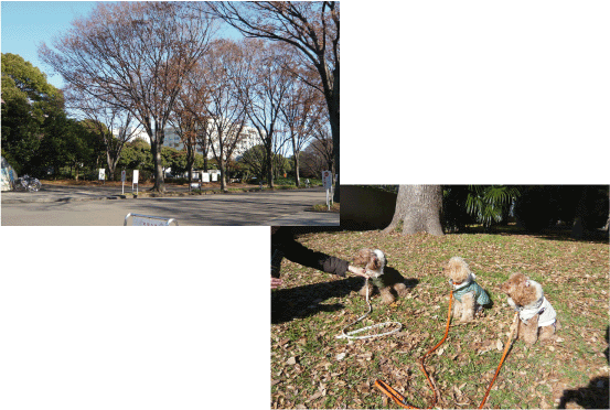 b0182846_1819919.gif