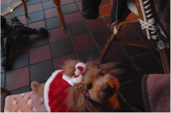 b0182846_18211874.gif