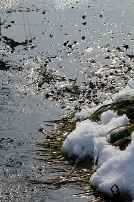 a0054647_22491323.jpg