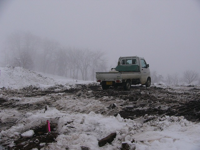 b0218664_10494667.jpg
