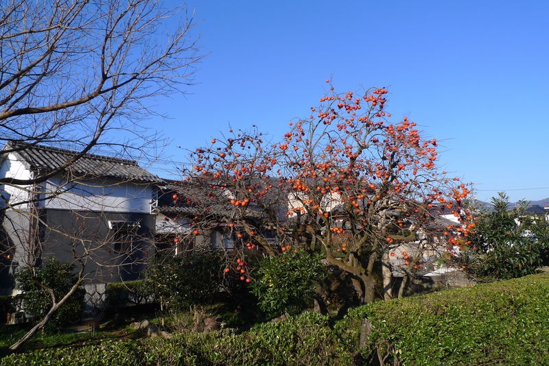 c0177576_0154058.jpg