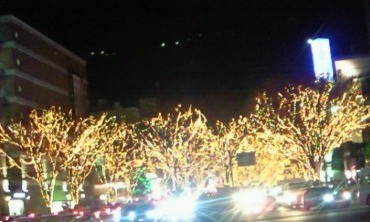 e0050579_9373357.jpg