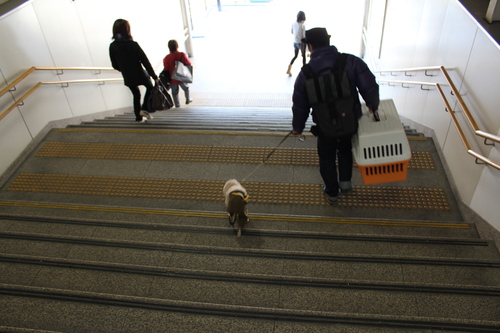 a0234491_2338711.jpg