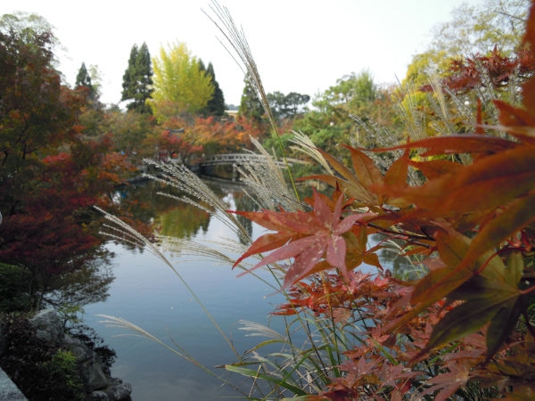 e0161692_0142938.jpg