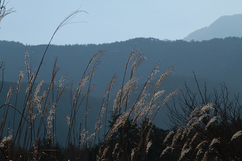 a0222494_16501690.jpg