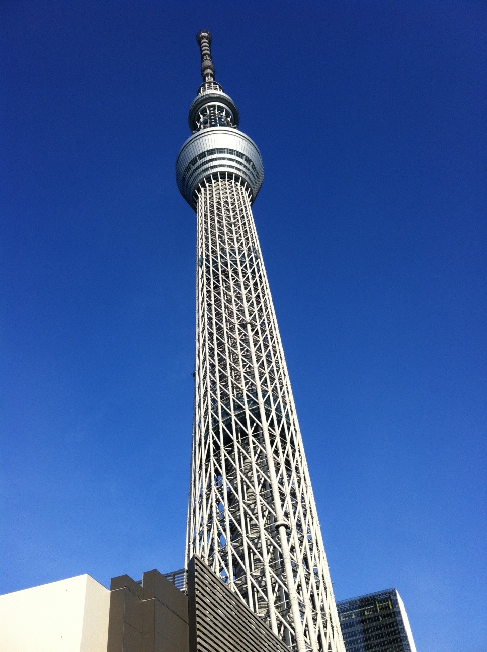 d0122797_11111239.jpg