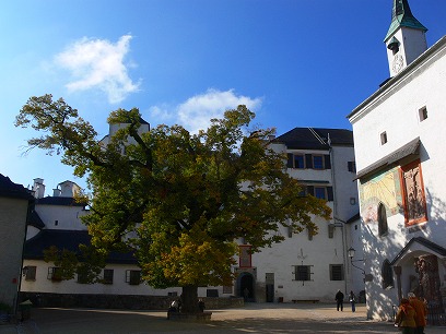 c0153302_1611540.jpg