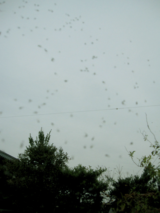 a0201204_15253630.jpg