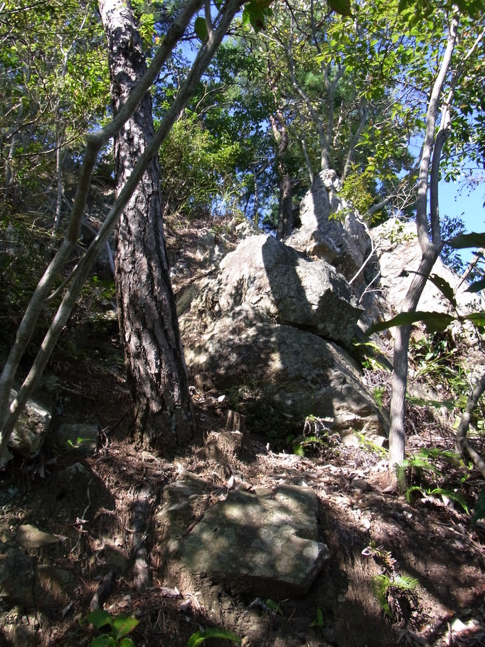 c0197004_23495976.jpg