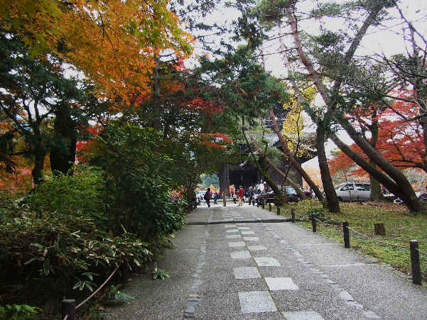 d0154609_1049531.jpg