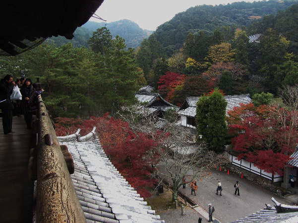 d0154609_11154061.jpg