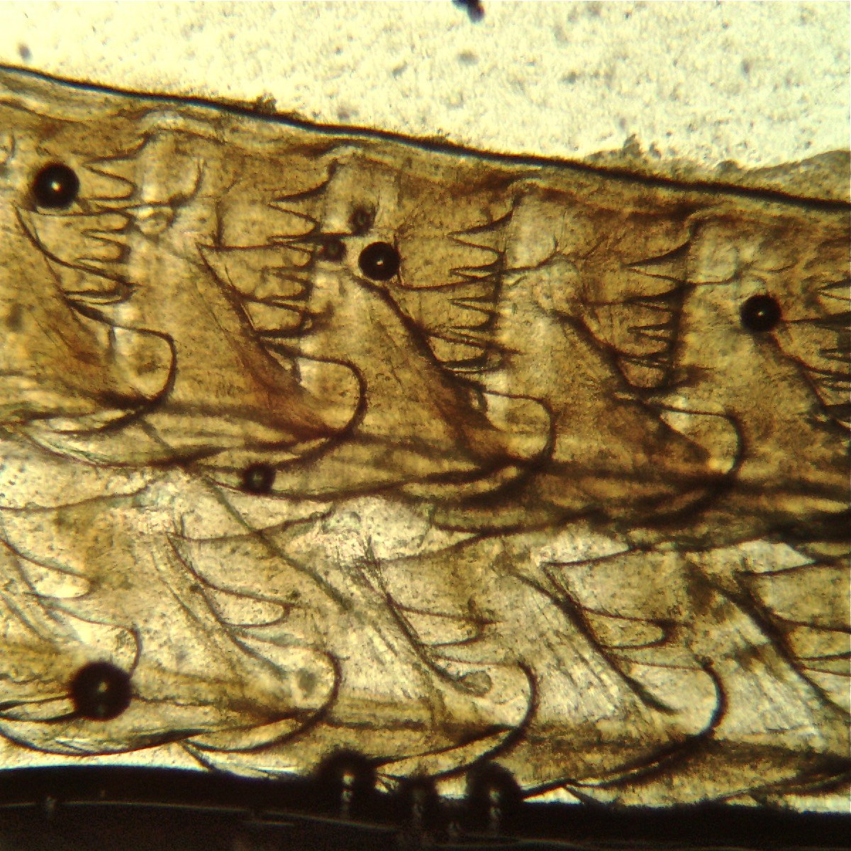 e0142611_1839113.jpg