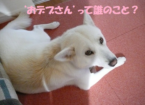 f0121712_15472757.jpg