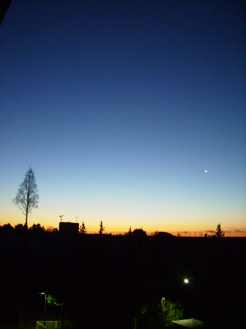 f0208812_855491.jpg