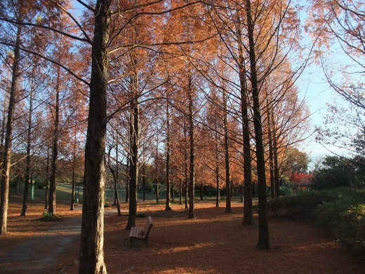e0135518_22573767.jpg