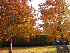a0157619_22541165.jpg