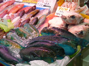 a0157619_23195147.jpg