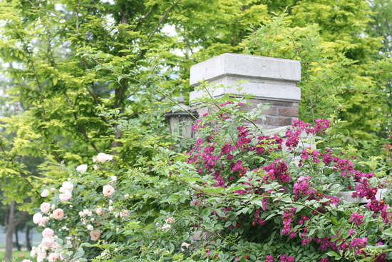 e0128322_1524249.jpg